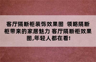 客厅隔断柜装饰效果图  领略隔断柜带来的家居魅力 客厅隔断柜效果图,年轻人都在看!